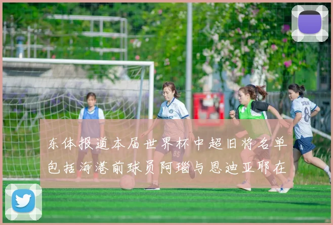 东体报道本届世界杯中超旧将名单包括海港前球员阿瑙与恩迪亚耶在内的10位球员